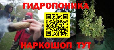 трава Шебекино
